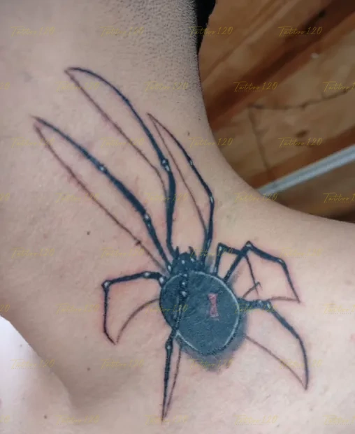 Tatuaje en el lateral del cuello que representa una araña viuda negra con su clásica marca roja en el abdomen y un sutil efecto de sombra, en estilo de tradicional y neo tradicional, realizado en el estudio Tattoo120 en Colina, Región Metropolitana.